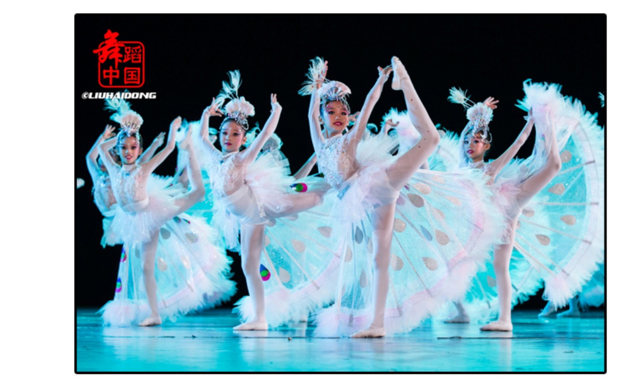 第八届小荷风采小白翎儿童傣族舞蹈演出服少幼儿园孔雀舞表演服装