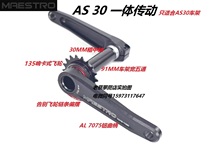 MAESTRO climbing bike AS30 drive shaft crank flywheel ECHO BORN Bureus TRILITE