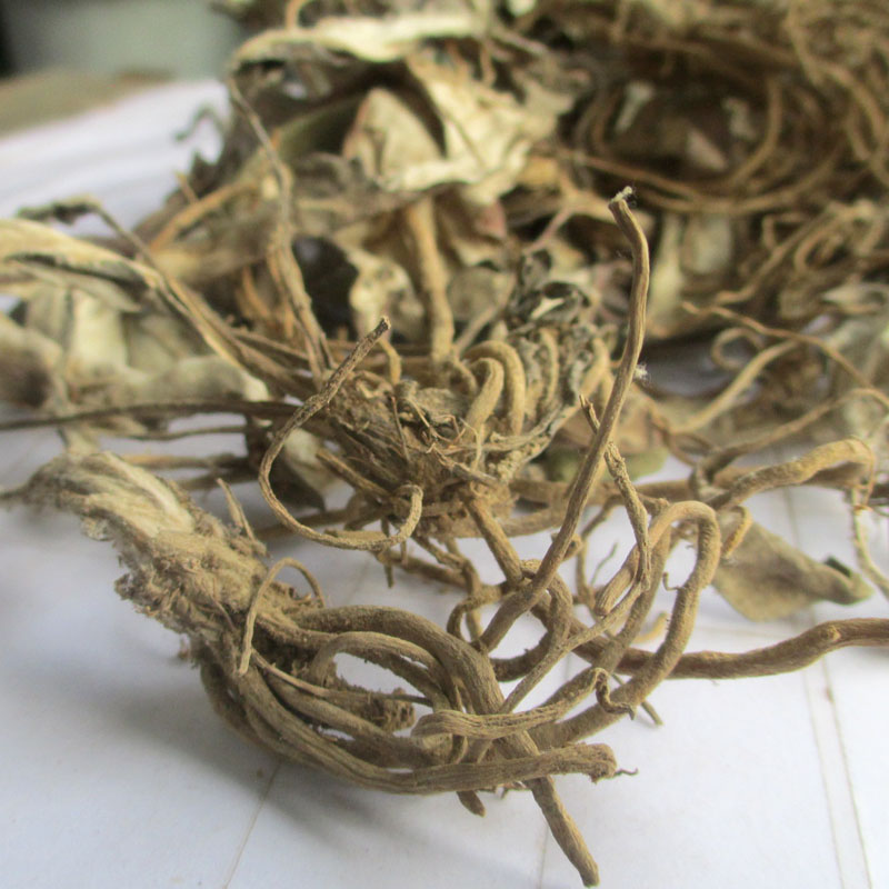 中药材野生一枝香500g白眉光面李毛大草农家生晒产后风正品保证