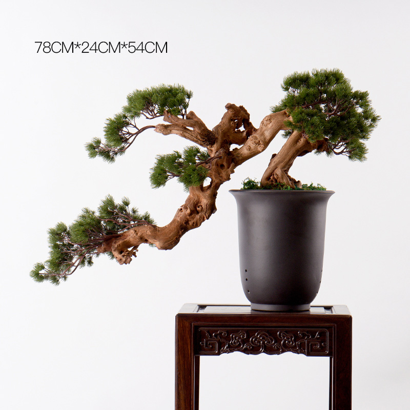 New Chinese style water simulation guest - the greeting pine wood rockery miniascape of I sitting room dry landscape ceramic study zen furnishing articles