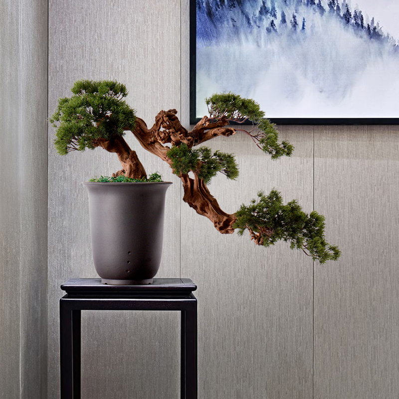 New Chinese style water simulation guest - the greeting pine wood rockery miniascape of I sitting room dry landscape ceramic study zen furnishing articles