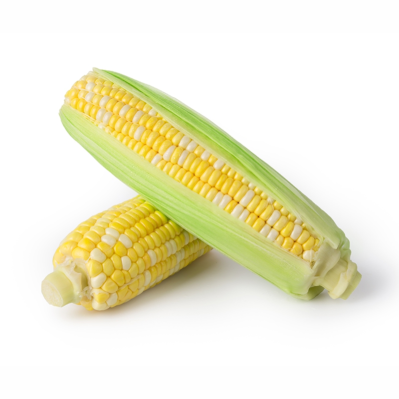 品质保证无公害金银超甜玉米棒 新鲜蔬菜粟米500g