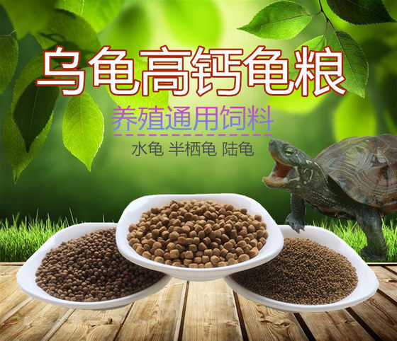 Turtle feed Water turtle feed Bulk feed Turtle grain Brazilian turtle feed Small turtle feed Turtle grain Free shipping
Turtle feed Water turtle feed Bulk feed Turtle grain Brazilian turtle feed Small turtle feed Turtle grain Free shipping