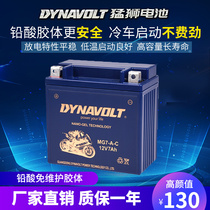 Applicable to Hawk 125 motorcycle battery 12v General dry battery Hawk Motorcycle 125-7 Silver Leopard battery