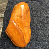 Natural Yellow Dragon jade stone tortoise drying table Jade Jade Jade wool water fish tank quartz stone ornamental ornamental ornaments play