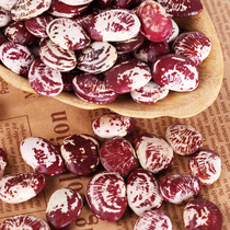 Poached bean large kidney bean seeds fresh dried flower kidney bean farmhouse zebra bean grains 500g bulk