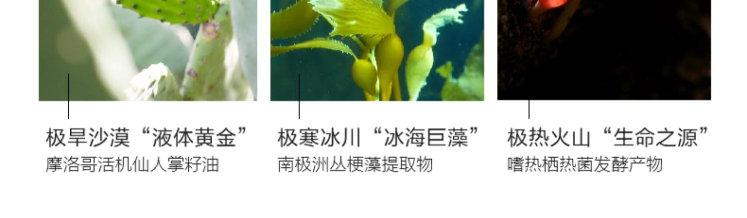 花皙蔻仙人掌水乳套装化妆品旗舰店介绍