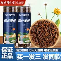 Nanjing Tongrentang Dandelion Root Tea 150g Changbai Mountain Mother-in-law Dinggen Dry Scented Tea Official Flagship Store