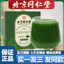 Beijing Tongrentang barley green juice powder 20 small bags of clear juice powder soaked in water official flagship store