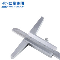 LINKS QUANTUM DEPTH CRUISE Scale Depth Ruler 0-200 0-200 0-300 0-500 1000 1000 1500MM