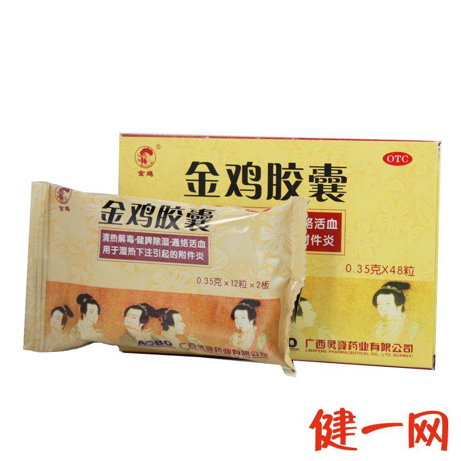 【金鸡】金鸡胶囊 0.35g*48粒 清热解毒 健脾除湿 通络活血