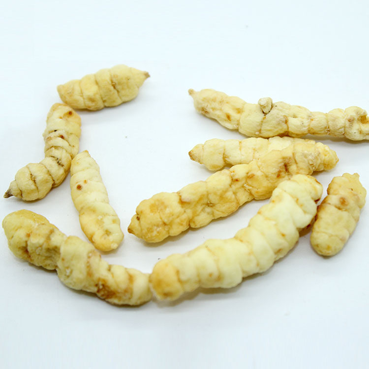 草石蚕泽兰根地蚕 中药材500克冬虫草白冬虫草白虫草草石蚕粉包邮