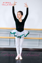  Autumn and winter velvet ballet dance clothes Childrens practice clothes dance clothes puffy yarn skirt 61 girls Chinese dance clothes