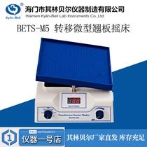 Qilin Bell BETS-M5 transfer micro rocker shaker Digital display up and down swing decolorization transfer universal