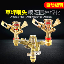 Spray Irrigation Lawn Sprinkler 360 Degrees Rotary Sprinkler Irrigation Garden Landscaped Garden Automatic Cooling Agricultural Rocker Nebulizer