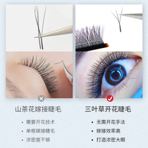Clover grafted eyelashes soft hair Mei Cimi shop special 3-leaf grass dense 3d flowering Y-type seed super soft natural