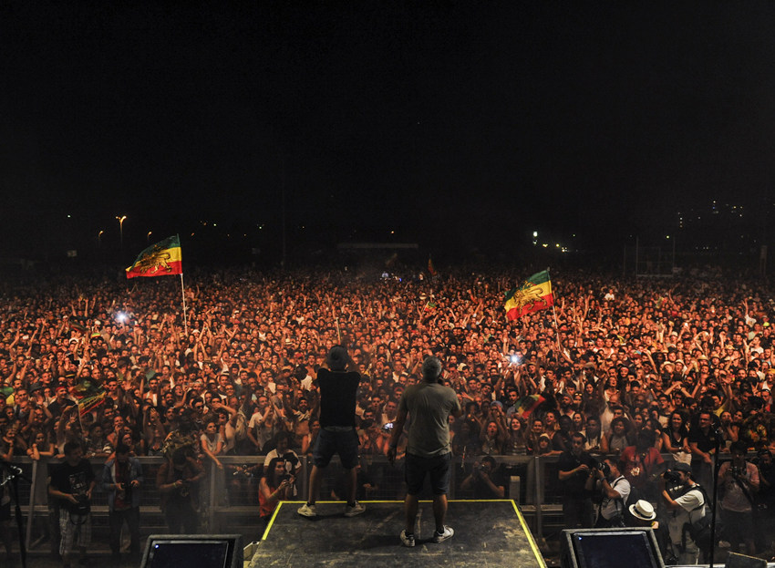 雷鬼风不仅有麻叶还有三色旗