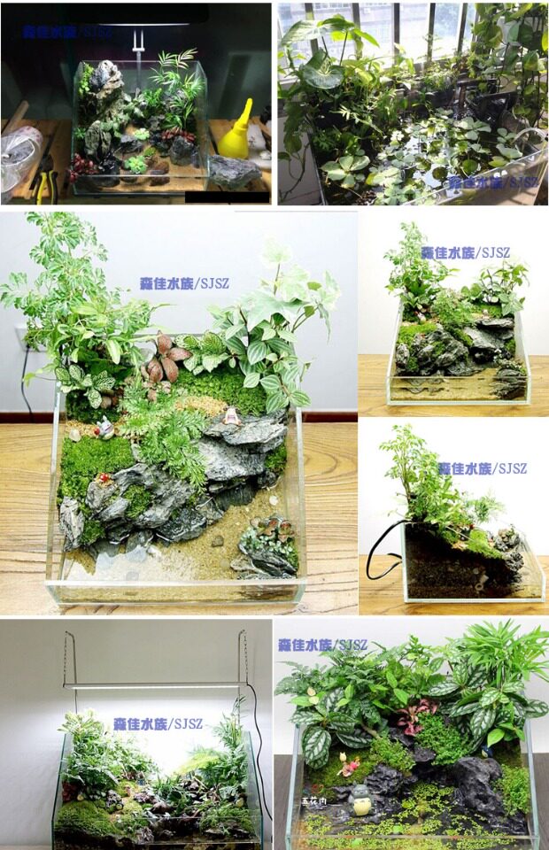 水陆缸 金晶超白水景缸 水陆草缸 微景观鱼缸 半水缸 可定做包邮_7折