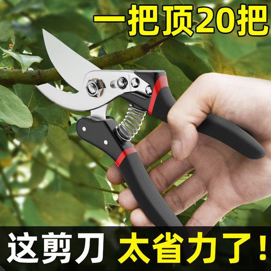 Gardening Stainless Steel Branches Special Scissors Fruit Trees Repairing Fruit Cut Fruits Home Flower Garden Green Scissors
Gardening Stainless Steel Branches Special Scissors Fruit Trees Repairing Fruit Cut Fruits Home Flower Garden Green Scissors