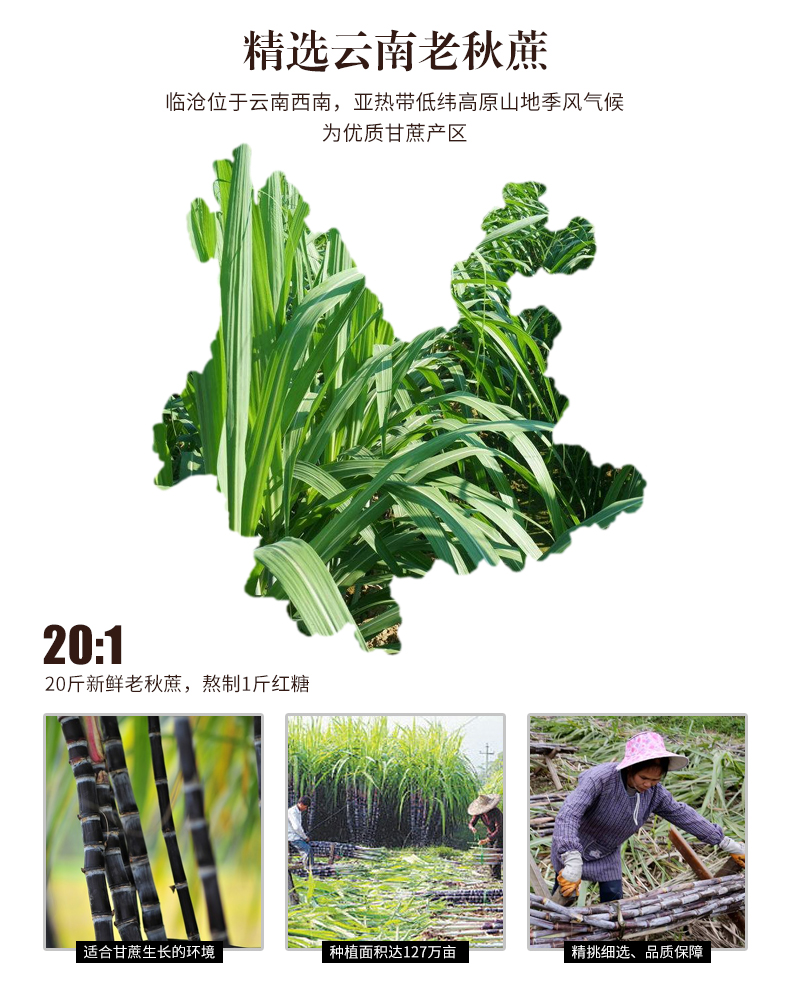 【菌益黑糖】五种口味单独小包装230g