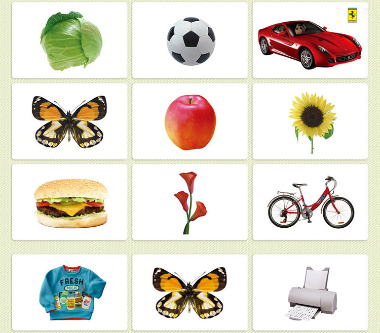 智乐杜曼闪卡百科卡七田全脑右脑开发训练闪卡记忆全套识字课程