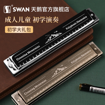  Swan harmonica beginner student Childrens 24-hole C-tone polyphony 28-hole accent Professional performance level Mens advanced