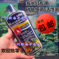 Germany Loftel seawater tank special nitrifying bacteria active bacteria 215 430 800Ml