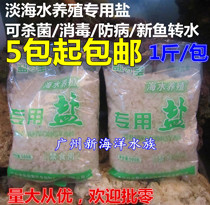 Natural ornamental fish big particles sea salt fish tank aquarium aquarium fish culture with crude salt sterilization and disinfection of water to prevent disease feet