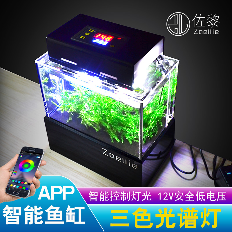 办公桌迷你缸底过滤海水微型干湿分离族箱超白斗鱼热带小形鱼造景 Изображение 1 办公桌迷你缸底过滤海水微型干湿分离族箱超白斗鱼热带小形鱼造景 Изображение 1
