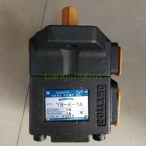 Xianju hydraulic high-performance vane oil pump YB-E8 YB-E16 YB-E25 E32 E40 E50 E63