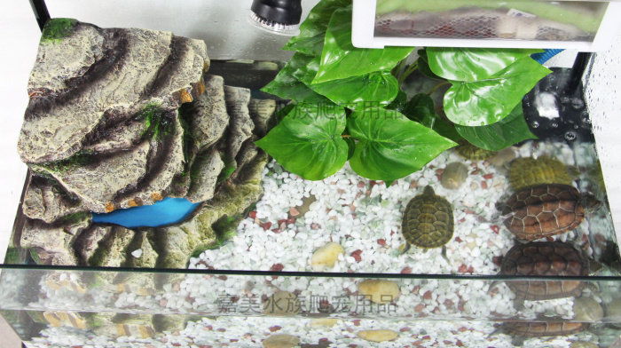 玻璃乌龟缸带晒台龟鱼混养生态水族箱 爬宠物