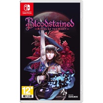 Switch NS used game Blood Night ceremony Bloodstained Chinese spot