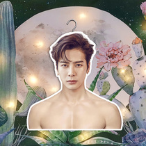 GOT7 Wang Jiaer with surrounding stars humanoid hanger hanging head portrait character to send poster female birthday gift customization