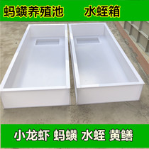 pp plastic Leech pond fish pond fish tank fish tank live fish culture cage rice field eel Loach Loach pond water flower to produce