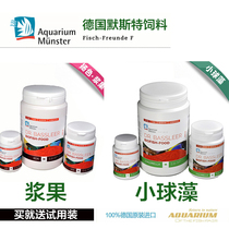 Germany Merstermost Chlorella Berry feed Alien fish Fish Fish Food Bottom Fish Three Lakes