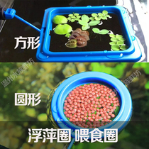 Fish tank feeder duckweed circle aquarium feeder feeding feeding fish food