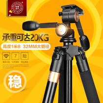 Light fitting era Q620 three-dimensional tripod head camera video recorder DV professional tripod single anti-camera tripod