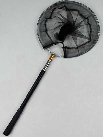 미니 스쿠프 네트 세트 전체 접는 작은 직경 그물 헤드 어류 낚시 어린이 낚시 작은 그물 새우 그물 가방 낚시 미니 스쿠프 네트 세트 전체 접는 작은 직경 그물 헤드 어류 낚시 어린이 낚시 작은 그물 새우 그물 가방 낚시