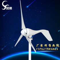 Power generation wind minicomputer factory direct sales 100-300W mini wind turbine 12V24V for engineering street lights