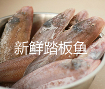 Fresh fishing scooter fish dragon scale seafood fresh fish fresh tongue Fish Fish Fish Fish Fish Fish dragon fish 250g