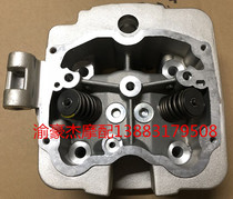 Applicable to Foton Loo 250 Futian defender V5 water cooling 175 200 250 300 cylinder head assembly valve