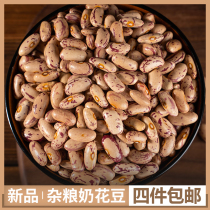 Northeast bird egg bean New farm spotted bean golden silk bean safflower bean milk Flower bean Kidney bean Five grains whole grain beans 1 catty