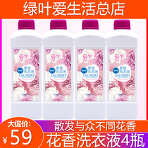 Green Leaf Love Life Floral Aroma Multieffect Laundry Detergent Concentrated no Phosphorus Without Fluorescent Bacteria Removing to Family Bottling 4 Bottles
