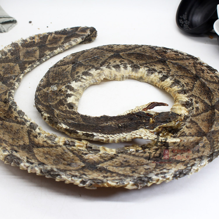 正品蕲蛇 泡酒必备中药材 乌梢 白花 蕲蛇