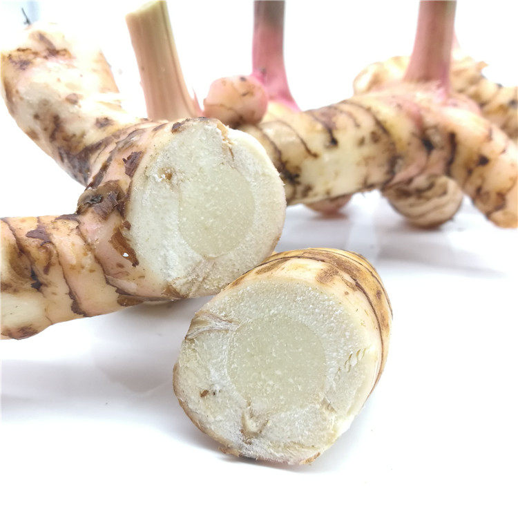 3斤包邮泰国进口新鲜南姜 良姜 泰国调料 冬阴功汤必备调料 500g