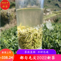 Guizhou specialty Duyun Maojian green tea leaves in 2022 new tea Ming front hand-picked bulk specialty 500g