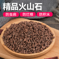Natural red black volcanic rock volcanic rock fleshy granular soil paving stone meat nutrition soil planting soil
