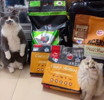 Want to raise a pig cub to give it the best stubborn cat studio All kinds of self-use imported cat and dog food summary