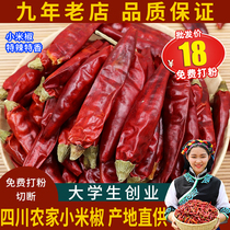 New Sichuan small rice pepper special spicy special fragrant 500g