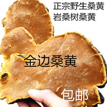 Authentic wild Phellinus Mulberry Mulberry Wang Phnom Penh Mulberry yellow rock Mulberry Phellinus Wangzhi 500g